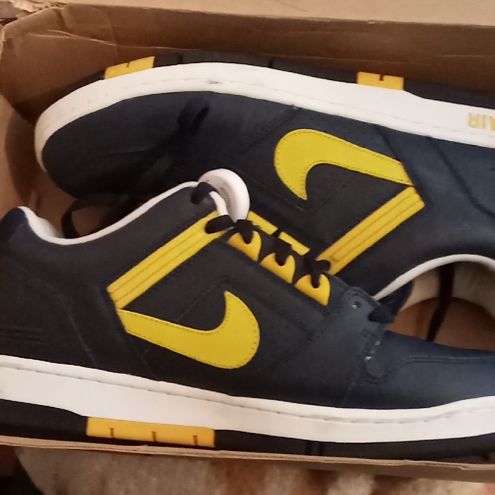 Air force 2 low michigan